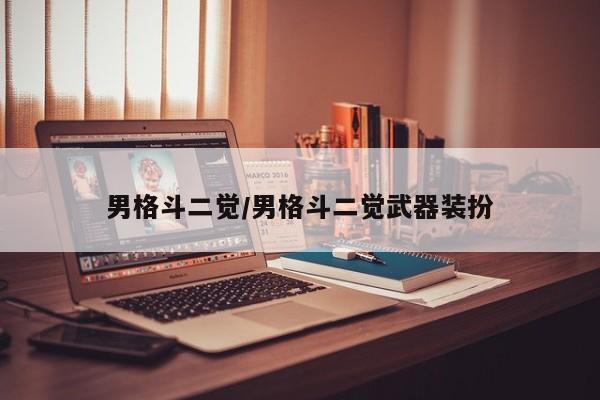 男格斗二觉/男格斗二觉武器装扮