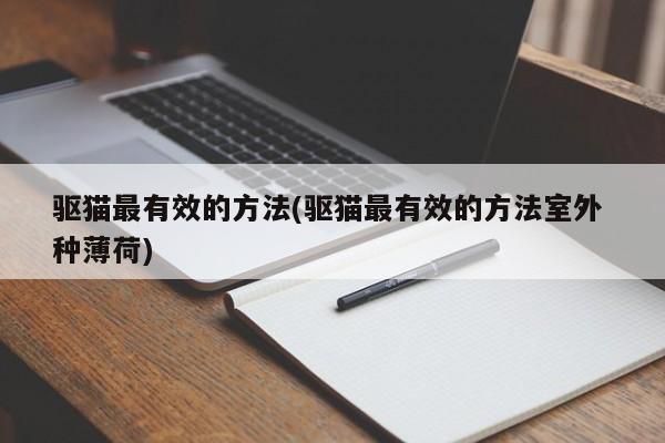 驱猫最有效的方法(驱猫最有效的方法室外 种薄荷)