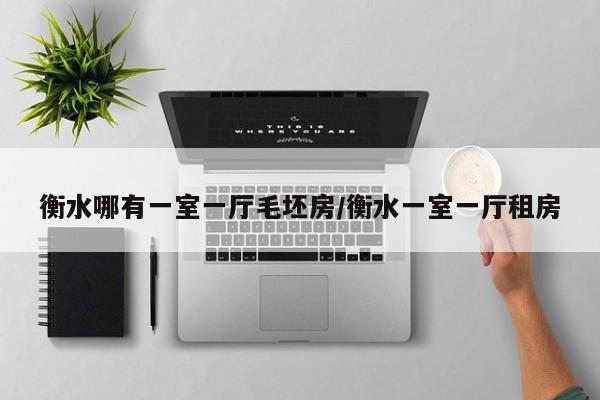 衡水哪有一室一厅毛坯房/衡水一室一厅租房