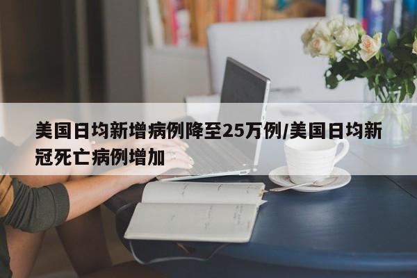 美国日均新增病例降至25万例/美国日均新冠死亡病例增加