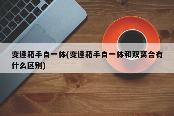 变速箱手自一体(变速箱手自一体和双离合有什么区别)