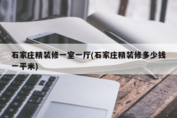 石家庄精装修一室一厅(石家庄精装修多少钱一平米)