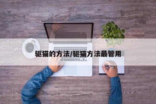 驱猫的方法/驱猫方法最管用