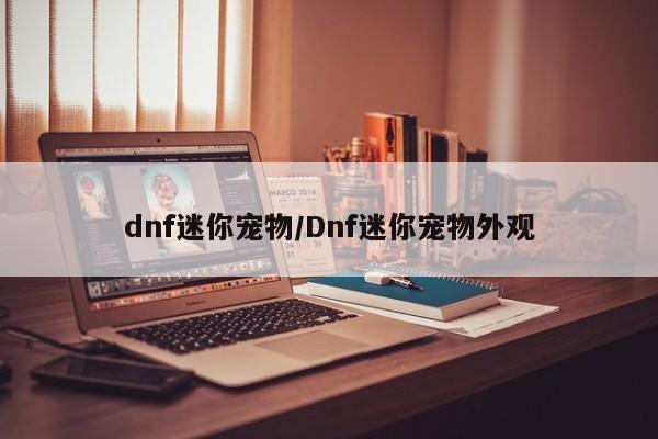 dnf迷你宠物/Dnf迷你宠物外观
