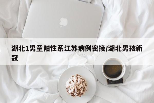 湖北1男童阳性系江苏病例密接/湖北男孩新冠