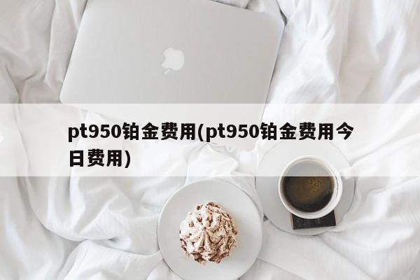 pt950铂金费用(pt950铂金费用今日费用)