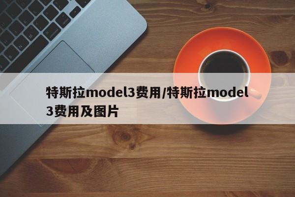 特斯拉model3费用/特斯拉model3费用及图片