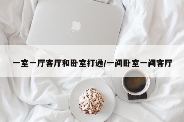 一室一厅客厅和卧室打通/一间卧室一间客厅