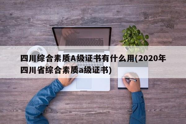 四川综合素质A级证书有什么用(2020年四川省综合素质a级证书)