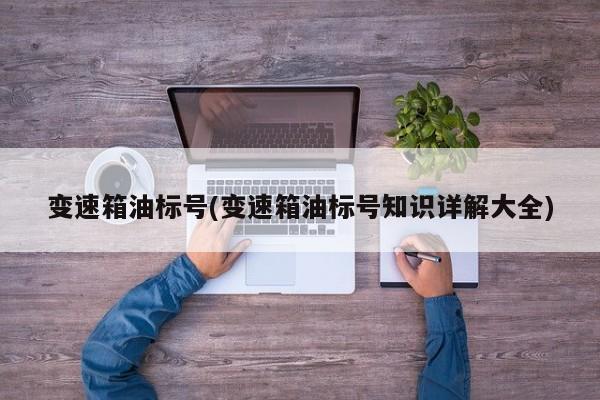 变速箱油标号(变速箱油标号知识详解大全)