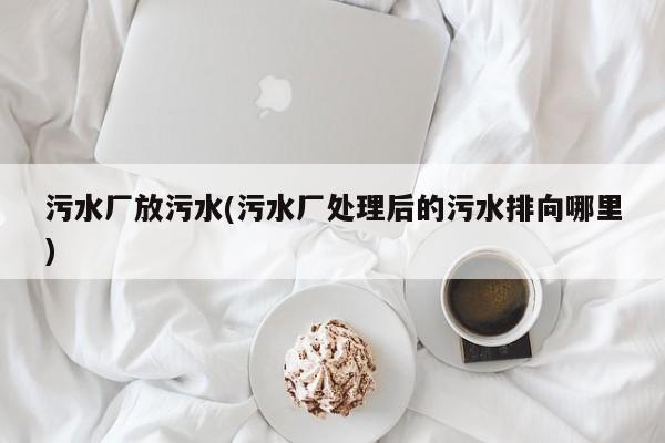 污水厂放污水(污水厂处理后的污水排向哪里)