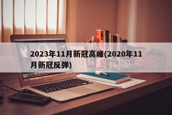 2023年11月新冠高峰(2020年11月新冠反弹)
