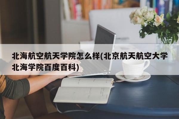 北海航空航天学院怎么样(北京航天航空大学北海学院百度百科)
