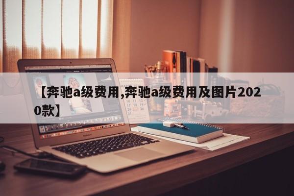 【奔驰a级费用,奔驰a级费用及图片2020款】