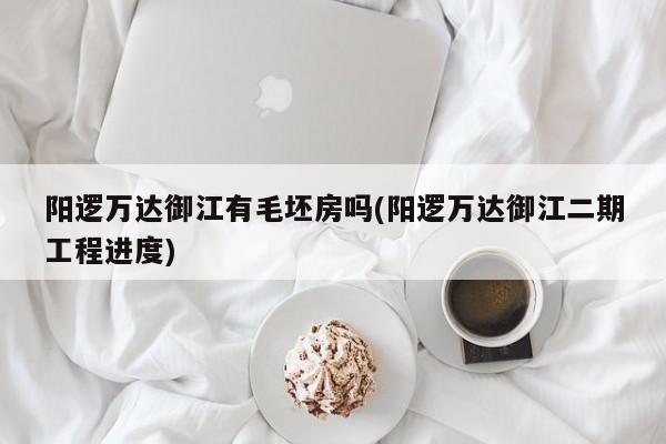 阳逻万达御江有毛坯房吗(阳逻万达御江二期工程进度)