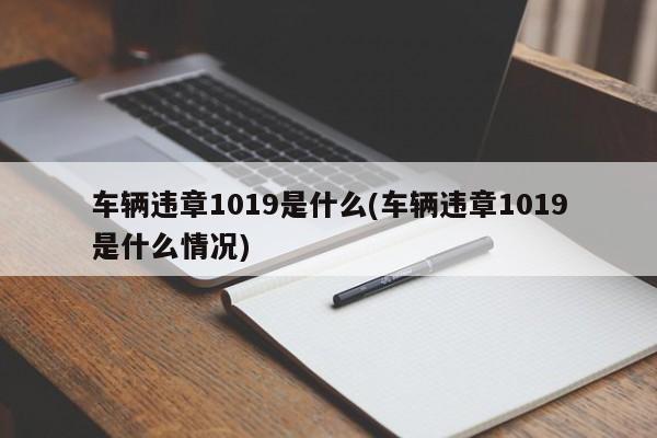 车辆违章1019是什么(车辆违章1019是什么情况)