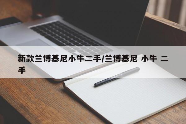 新款兰博基尼小牛二手/兰博基尼 小牛 二手