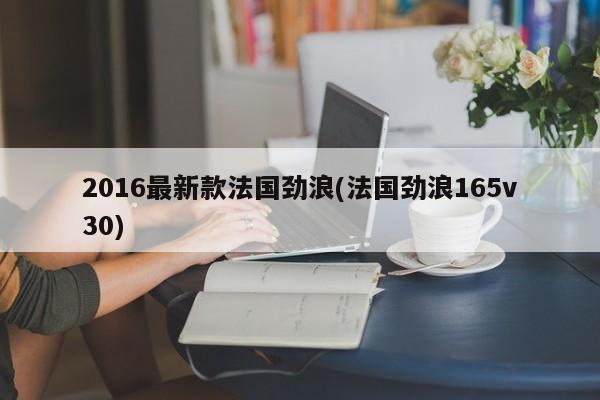 2016最新款法国劲浪(法国劲浪165v30)