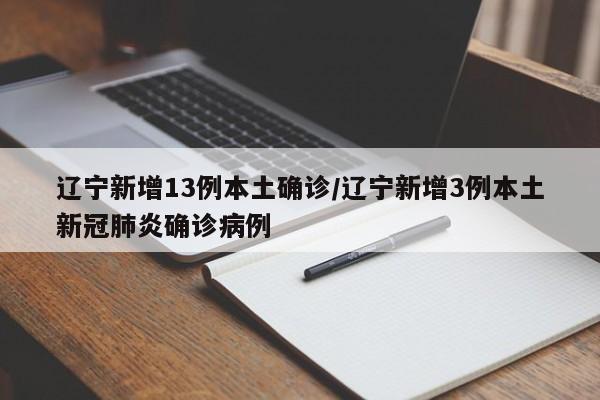 辽宁新增13例本土确诊/辽宁新增3例本土新冠肺炎确诊病例