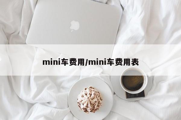 mini车费用/mini车费用表