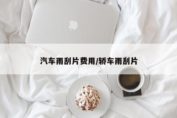 汽车雨刮片费用/轿车雨刮片