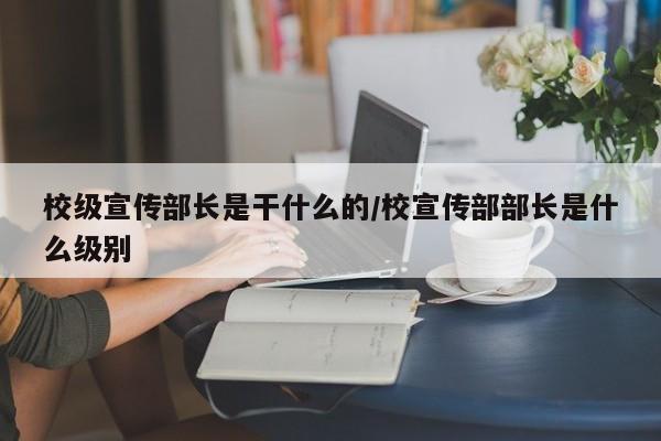 校级宣传部长是干什么的/校宣传部部长是什么级别