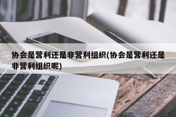 协会是营利还是非营利组织(协会是营利还是非营利组织呢)