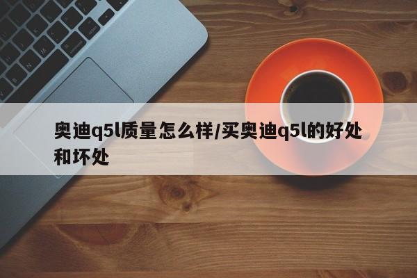 奥迪q5l质量怎么样/买奥迪q5l的好处和坏处