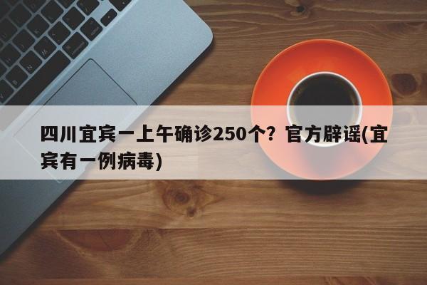 四川宜宾一上午确诊250个？官方辟谣(宜宾有一例病毒)