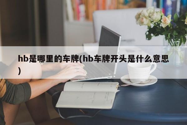 hb是哪里的车牌(hb车牌开头是什么意思)
