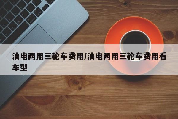 油电两用三轮车费用/油电两用三轮车费用看车型