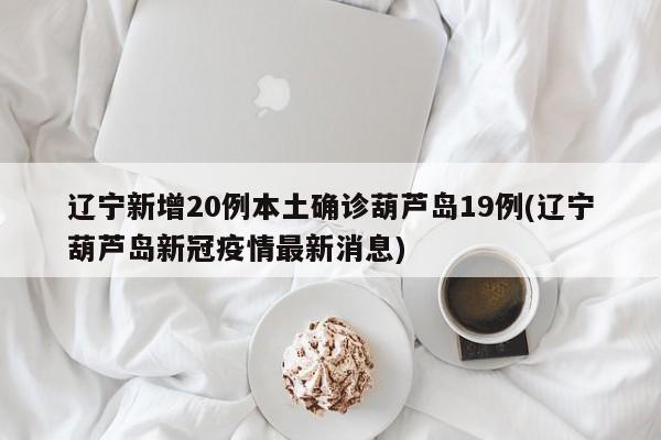 辽宁新增20例本土确诊葫芦岛19例(辽宁葫芦岛新冠疫情最新消息)
