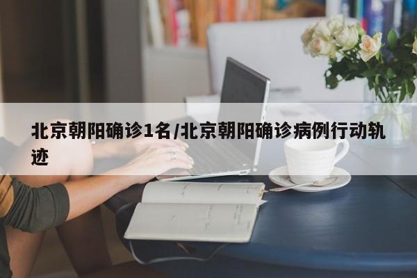 北京朝阳确诊1名/北京朝阳确诊病例行动轨迹