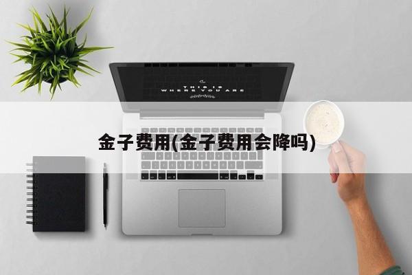 金子费用(金子费用会降吗)